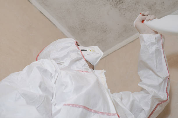 Best Bathroom Mold Remediation in Port Allen, LA